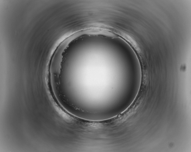 X0000099461136200805091522