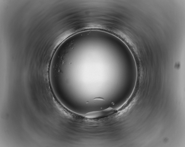 X0000099461137200805091522