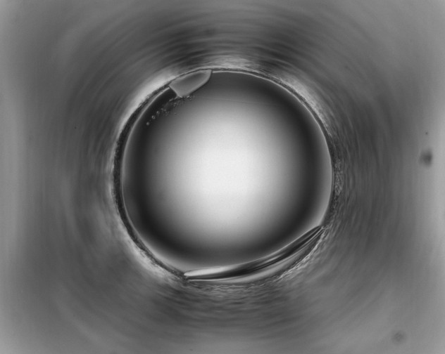 X0000099461139200805091522