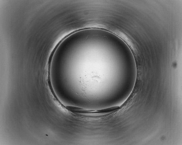 X0000099461140200805091522