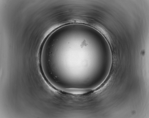 X0000099461141200805091522