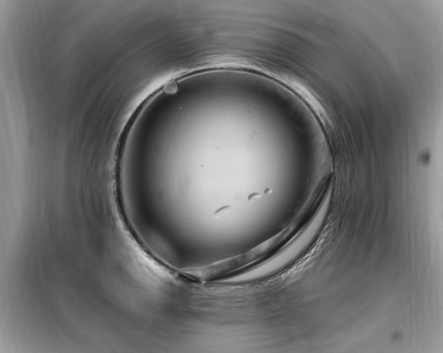 X0000099461142200805091522