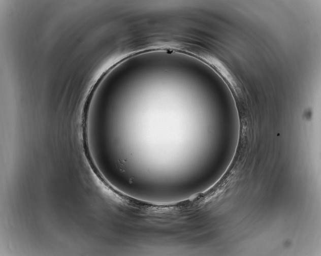 X0000099461143200805091522