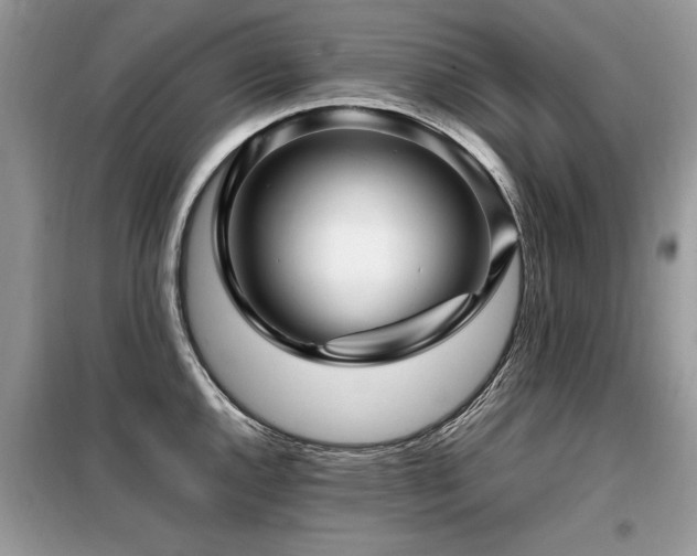 X0000099461144200805091522