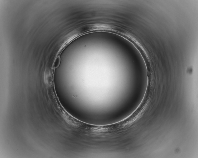 X0000099461145200805091522