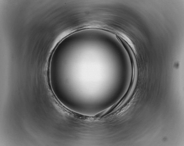 X0000099461146200805091522