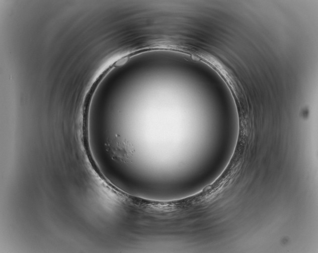 X0000099461147200805091522