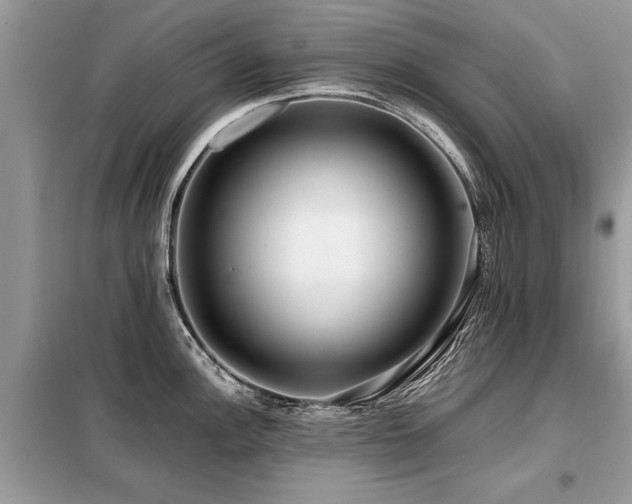 X0000099461148200805091522