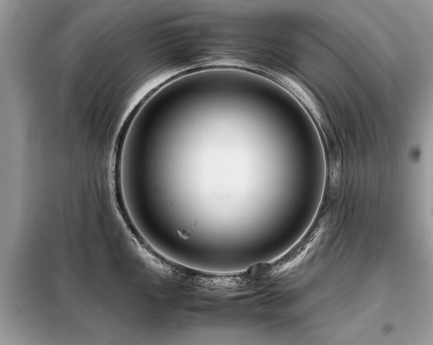 X0000099461149200805091522