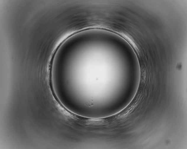 X0000099461151200805091522