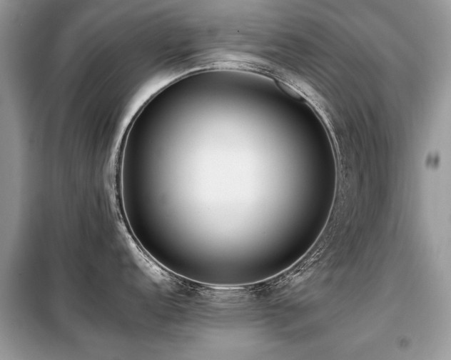 X0000099461152200805091522