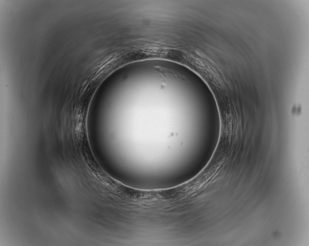 X0000099461154200805091522