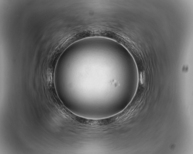 X0000099461155200805091522