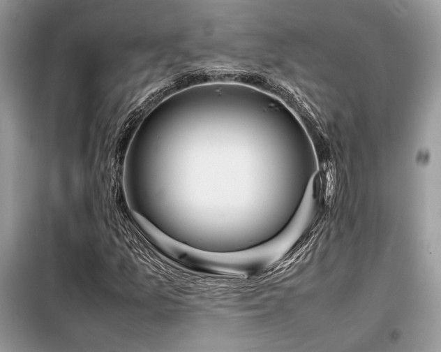 X0000099461157200805091522