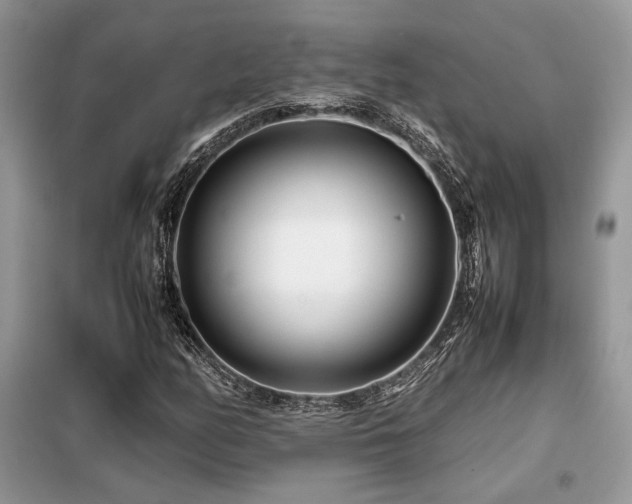 X0000099461158200805091522