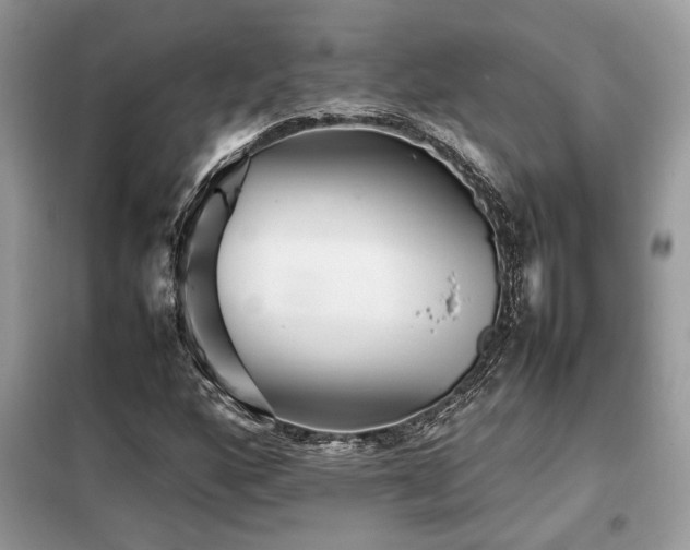 X0000099461160200805091521