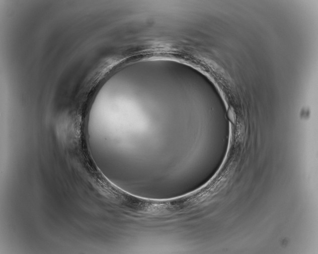 X0000099461161200805091521