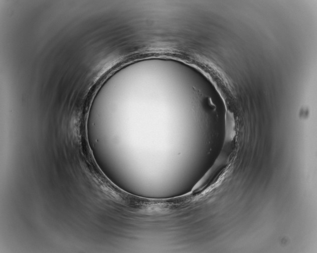 X0000099461162200805091521