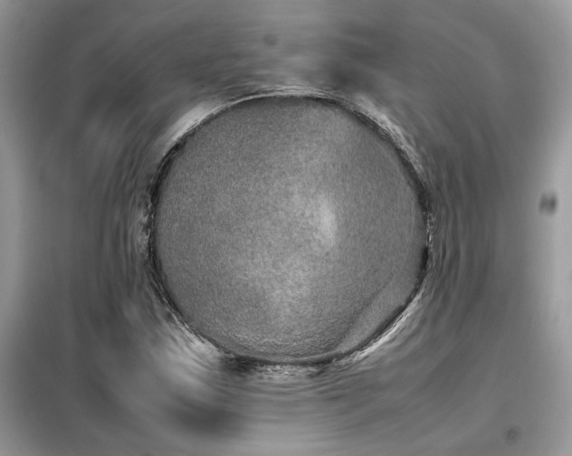 X0000099461163200805091521
