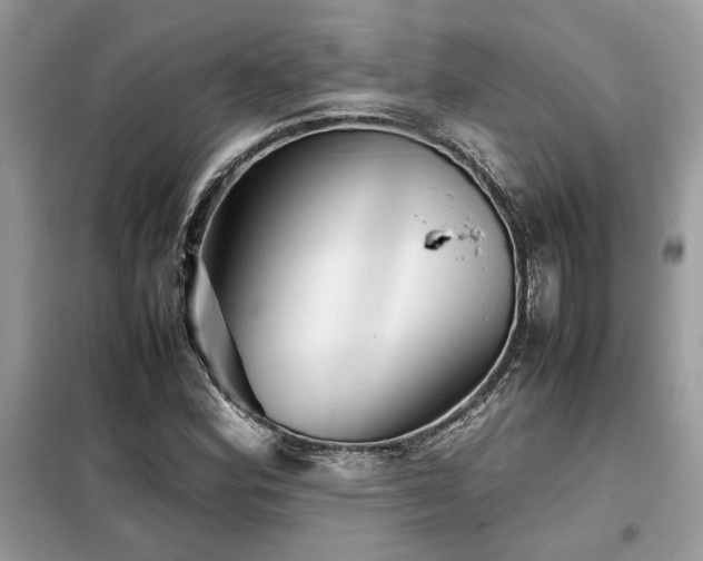 X0000099461164200805091521
