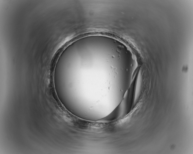 X0000099461165200805091521