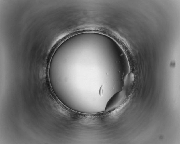 X0000099461166200805091521