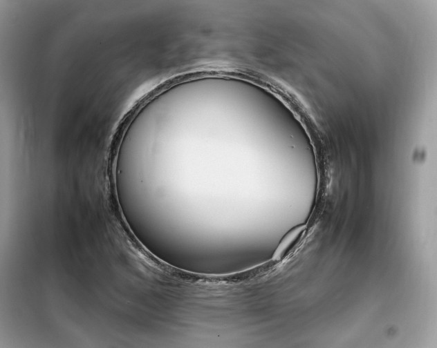 X0000099461168200805091521