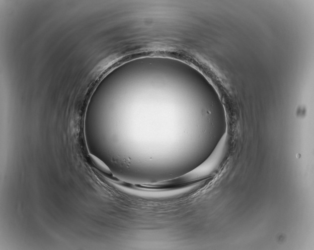 X0000099461169200805091521