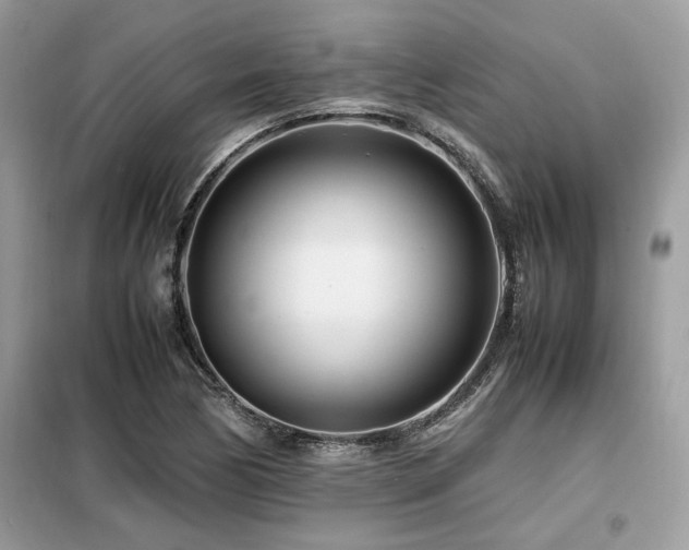 X0000099461170200805091521
