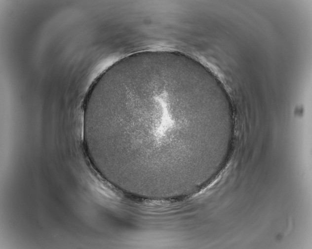 X0000099461171200805091521