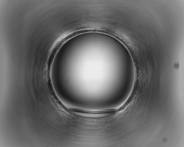 X0000099461172200805091521
