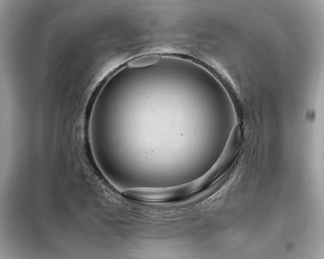 X0000099461173200805091521