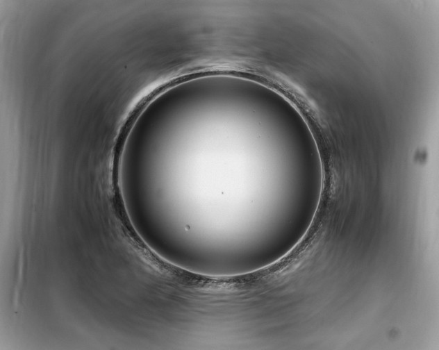 X0000099461174200805091521