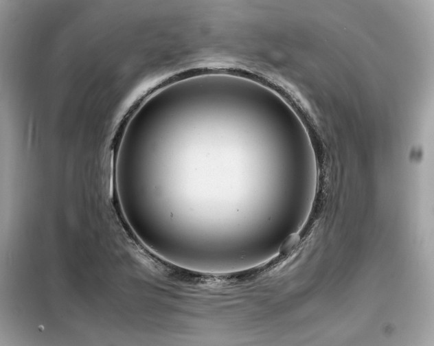 X0000099461175200805091521