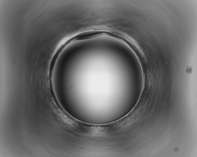 X0000099461176200805091521
