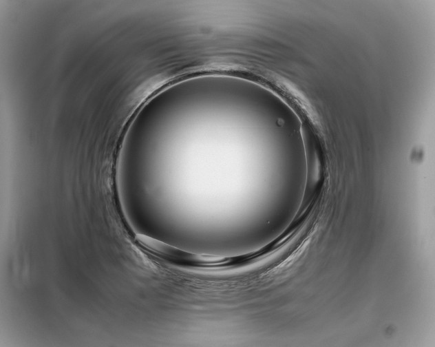 X0000099461177200805091521