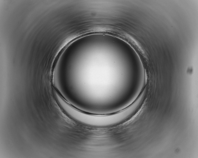 X0000099461178200805091521