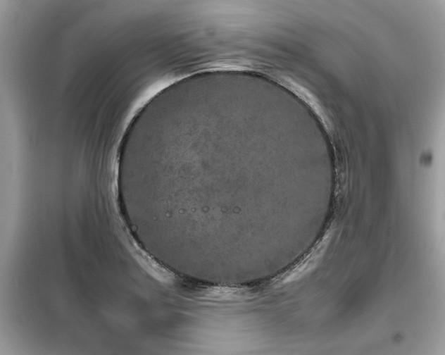 X0000099461179200805091521