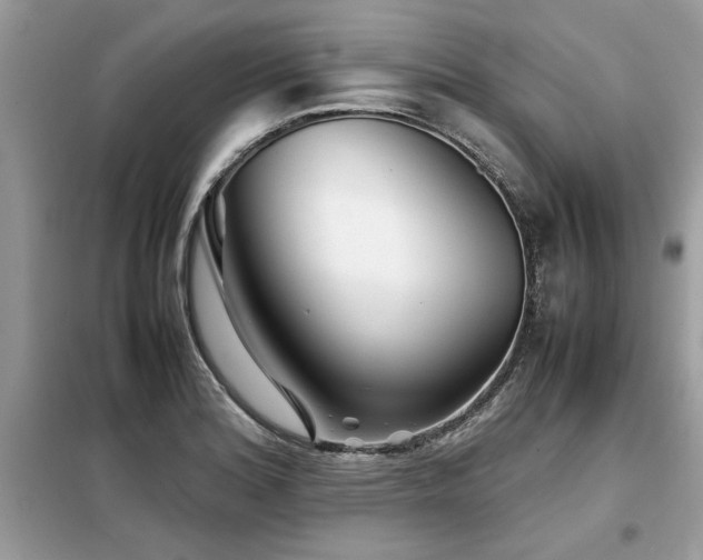 X0000099461180200805091521