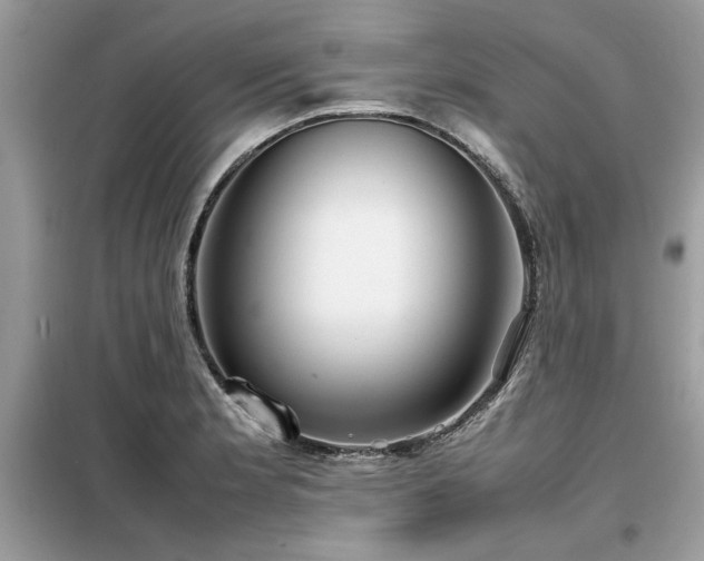 X0000099461181200805091521