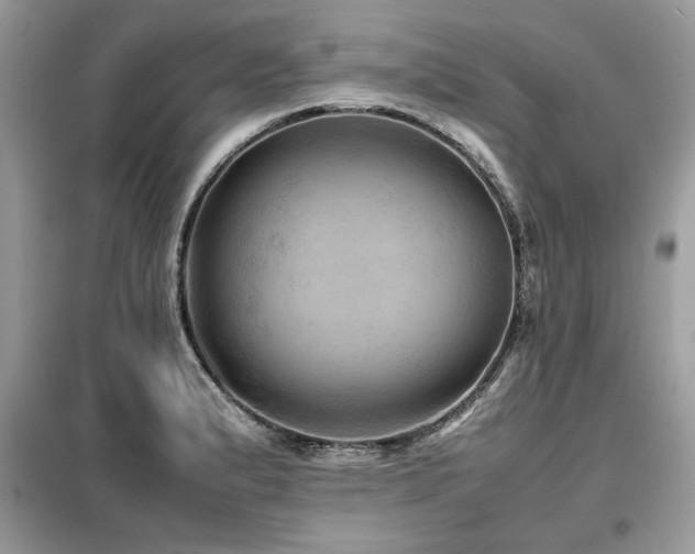 X0000099461183200805091521