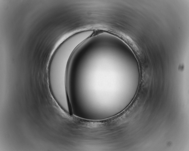 X0000099461184200805091521