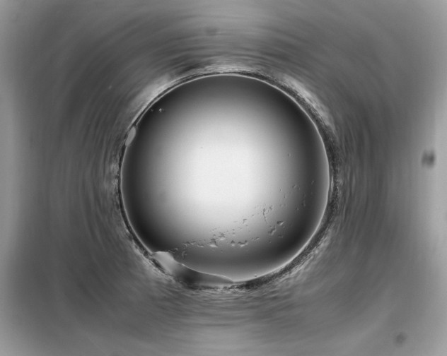 X0000099461185200805091521