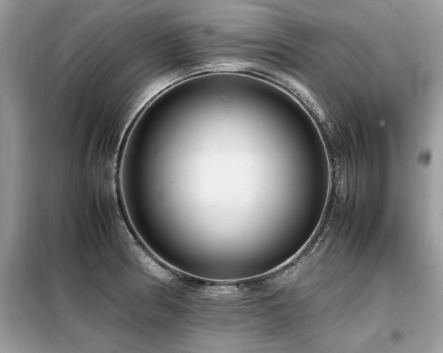 X0000099461186200805091521