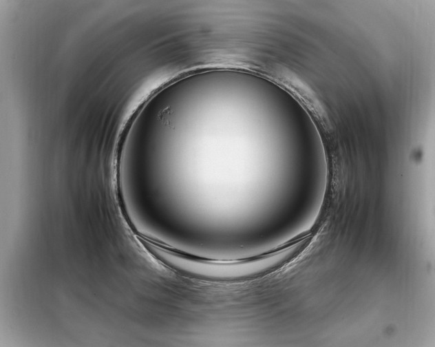 X0000099461188200805091521