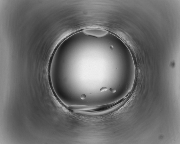 X0000099461189200805091521