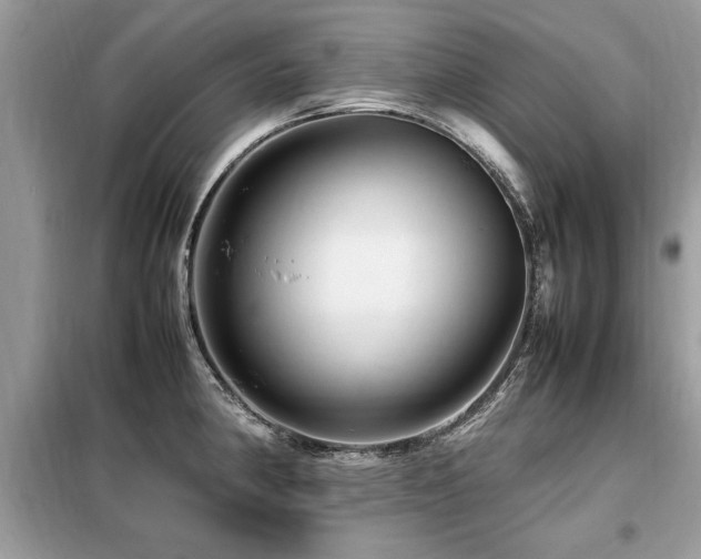 X0000099461190200805091521