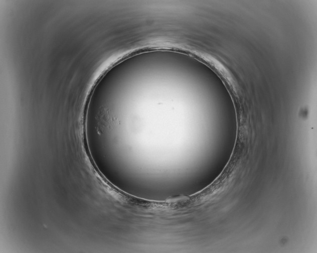 X0000099461191200805091521