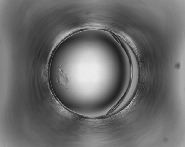 X0000099461192200805091521