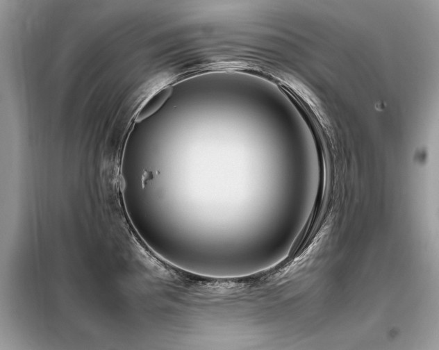 X0000099461193200805091521